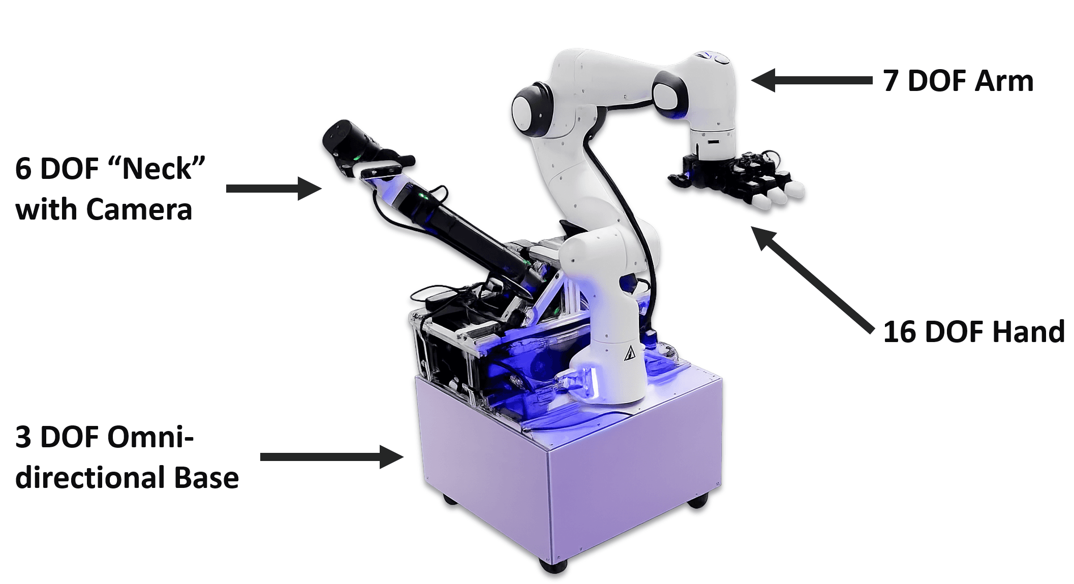 Mobile manipulation platform with a holonomic base, Franka Panda arm, LEAP hand, and active-vision neck camera.